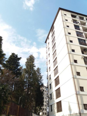 Apartment on Sanatornaya